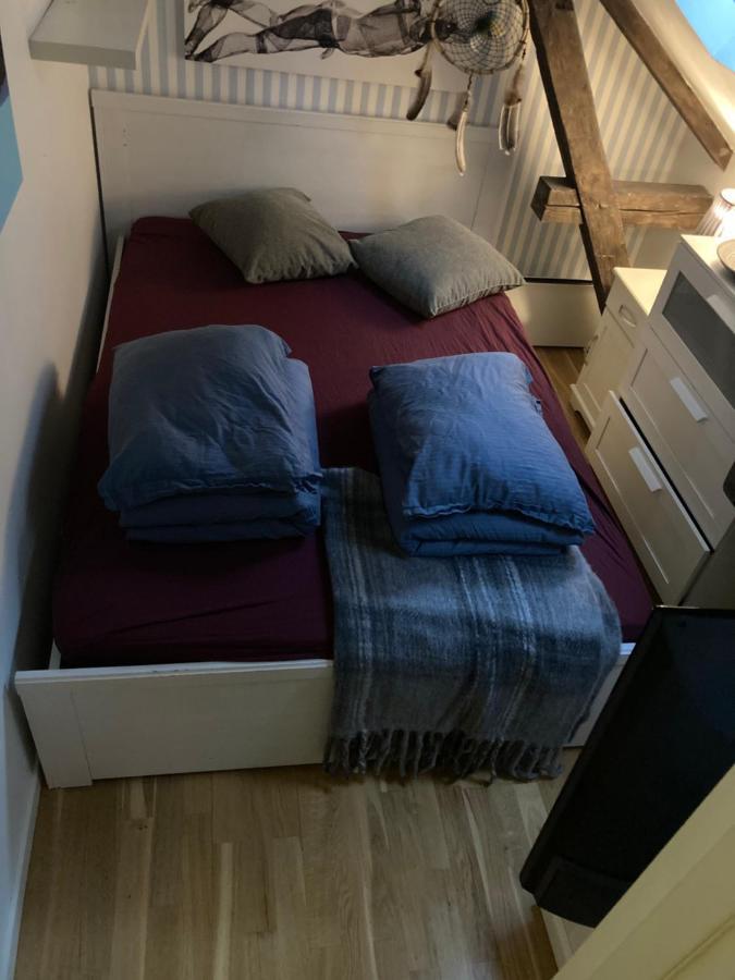 Downtown Loft With Shared Bathroom Homestay