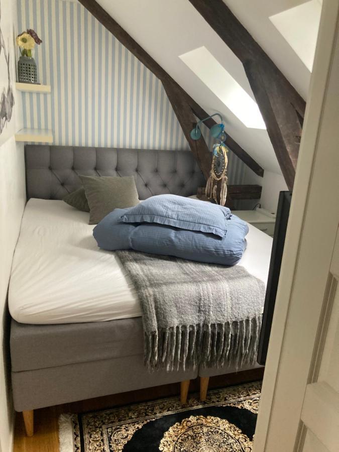Downtown Loft With Shared Bathroom *